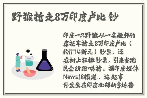 丝瓜 草莓 秋葵 榴莲